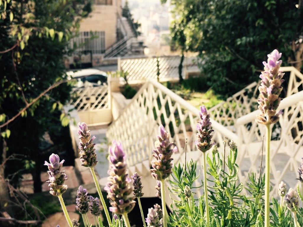 Lavender Boutique Hotel Ramallah Buitenkant foto
